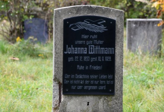 Horní Jiřetín, Omnium, 2020