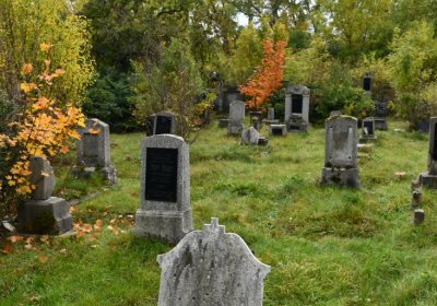 Horní Jiřetín, Omnium, 2020