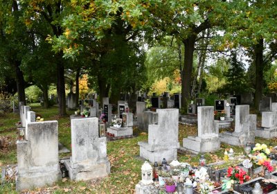 Horní Jiřetín, Omnium, 2020