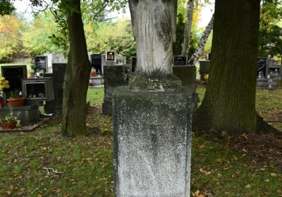 Horní Jiřetín, Omnium, 2020