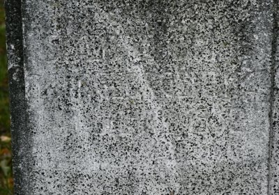 Horní Jiřetín, Omnium, 2020