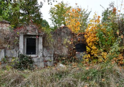 Horní Jiřetín, Omnium, 2020