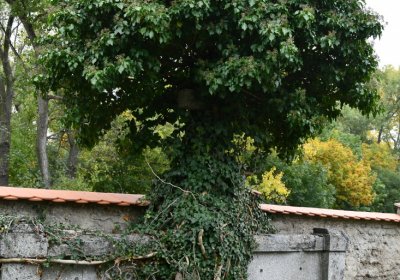 Horní Jiřetín, Omnium, 2020