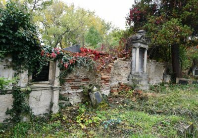 Horní Jiřetín, Omnium, 2020