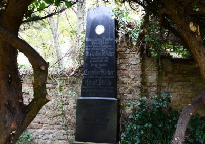 Horní Jiřetín, Omnium, 2020