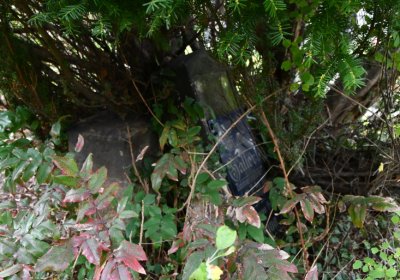 Horní Jiřetín, Omnium, 2020