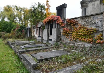 Horní Jiřetín, Omnium, 2020