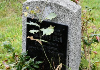 Horní Jiřetín, Omnium, 2020