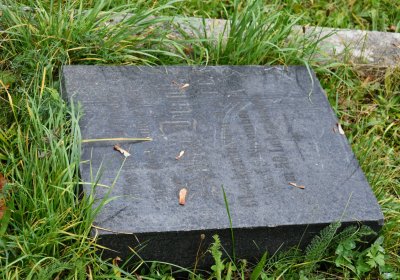 Horní Jiřetín, Omnium, 2020