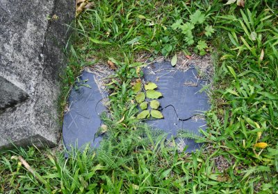 Horní Jiřetín, Omnium, 2020