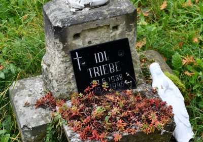 Horní Jiřetín, Omnium, 2020