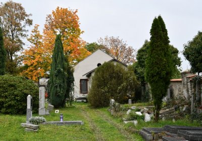 Horní Jiřetín, Omnium, 2020