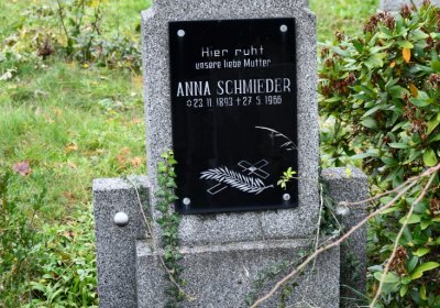 Horní Jiřetín, Omnium, 2020