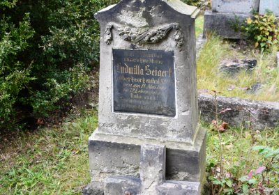 Horní Jiřetín, Omnium, 2020