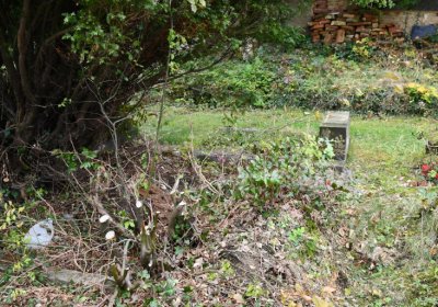 Horní Jiřetín, Omnium, 2020