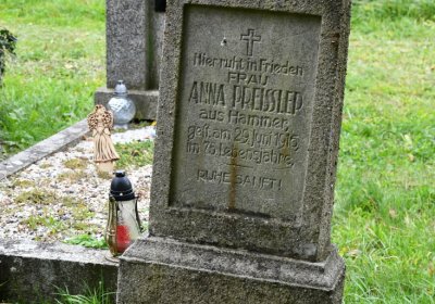 Horní Jiřetín, Omnium, 2020