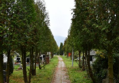 Horní Jiřetín, Omnium, 2020