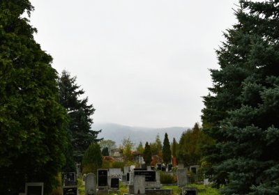 Horní Jiřetín, Omnium, 2020