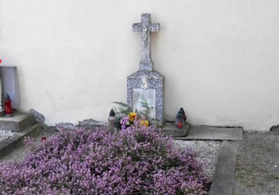 Lašťovka Milan, 2016