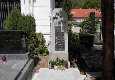 Lašťovka Milan, 2016