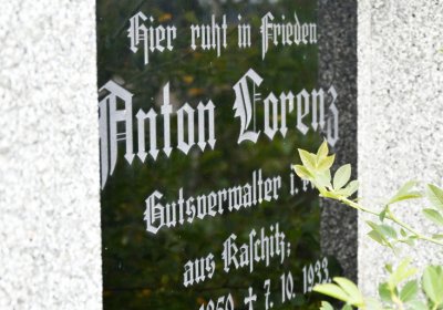 Dolánky, Omnium, 2020