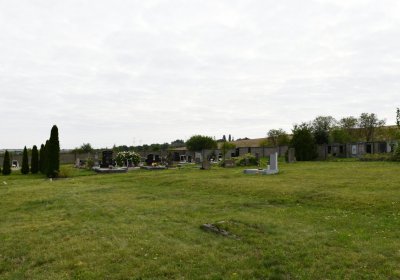 Dolánky, Omnium, 2020