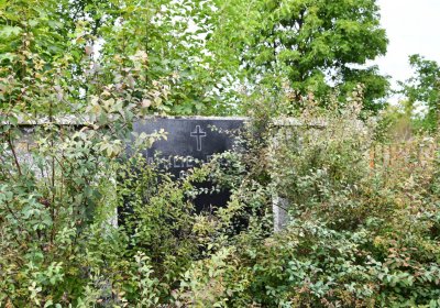 Dolánky, Omnium, 2020