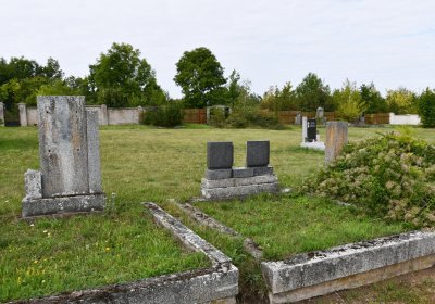 Dolánky, Omnium, 2020