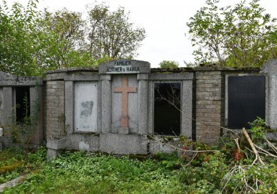 Dolánky, Omnium, 2020