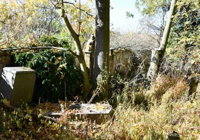 Omnium, 2017