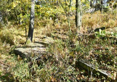 Omnium, 2017