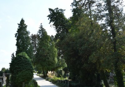 Podbořany k Valovu, Omnium, 2020