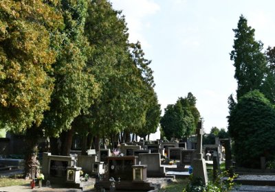 Podbořany k Valovu, Omnium, 2020