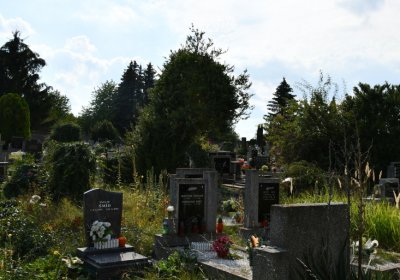 Podbořany k Valovu, Omnium, 2020