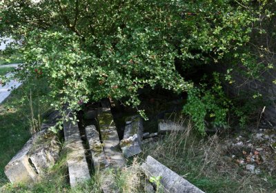 Podbořany k Valovu, Omnium, 2020