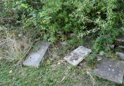 Podbořany k Valovu, Omnium, 2020