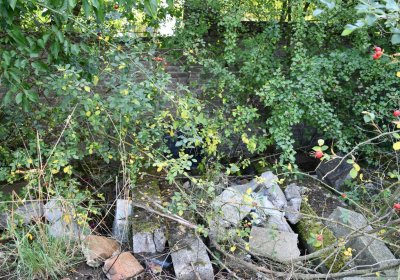 Podbořany k Valovu, Omnium, 2020