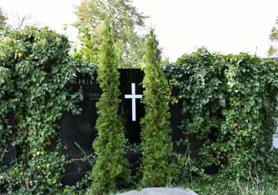 Podbořany k Valovu, Omnium, 2020