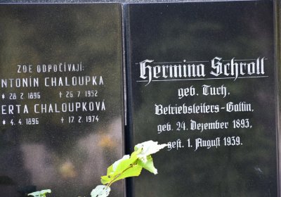 Podbořany k Valovu, Omnium, 2020