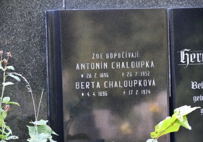 Podbořany k Valovu, Omnium, 2020