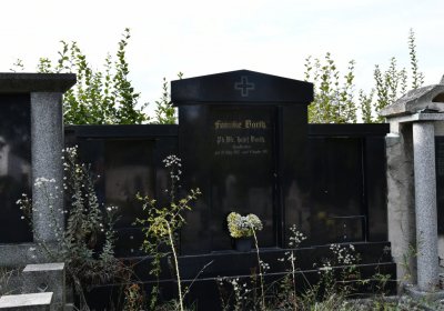 Podbořany k Valovu, Omnium, 2020