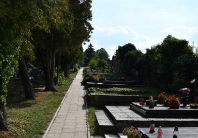 Podbořany k Valovu, Omnium, 2020