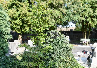 Podbořany k Valovu, Omnium, 2020