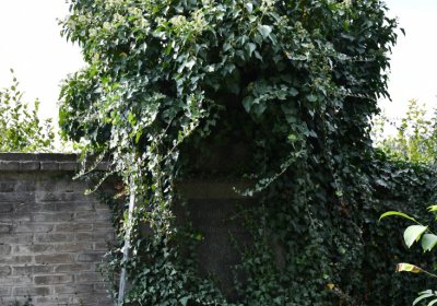 Podbořany k Valovu, Omnium, 2020