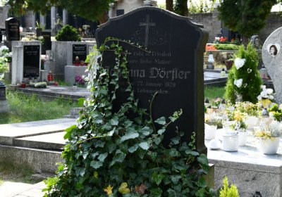 Podbořany k Valovu, Omnium, 2020