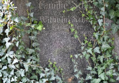 Podbořany k Valovu, Omnium, 2020