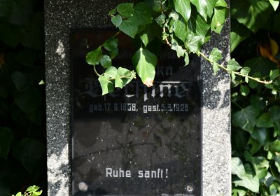 Podbořany k Valovu, Omnium, 2020