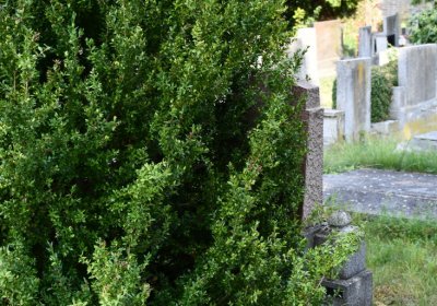 Podbořany k Valovu, Omnium, 2020