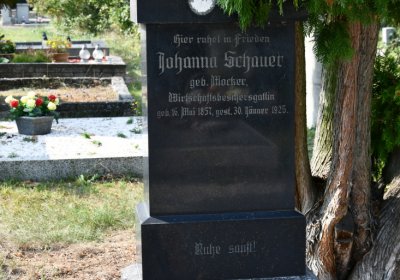 Podbořany k Valovu, Omnium, 2020