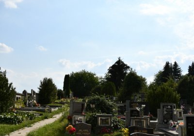 Podbořany k Valovu, Omnium, 2020